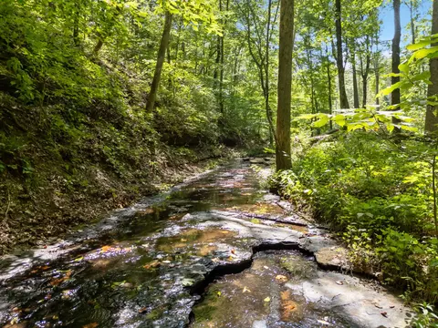 5755 N Lick Creek Rd, Franklin, TN 37064