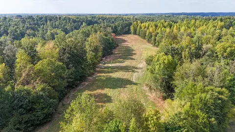 944 Shoal Bluff Rd, Minor Hill, TN 38473