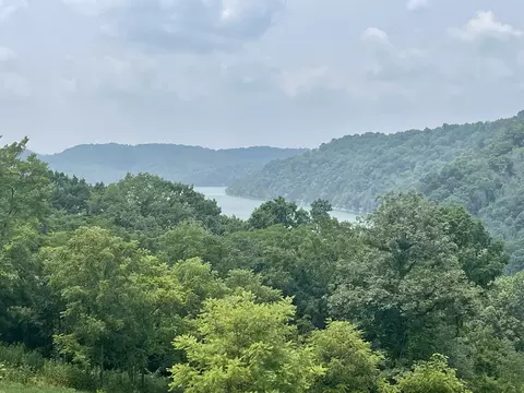 44 Harbor Ct, Silver Point, TN 38582 photo 14