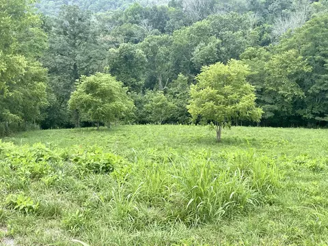 44 Harbor Ct, Silver Point, TN 38582 photo 19