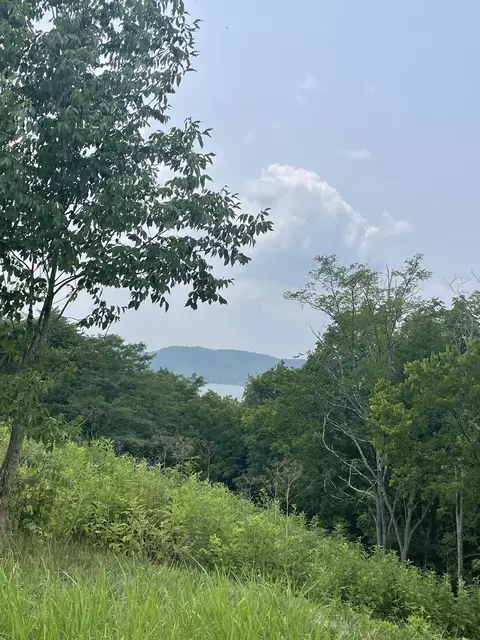 44 Harbor Ct, Silver Point, TN 38582 photo 16