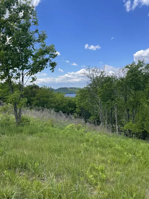 44 Harbor Ct, Silver Point, TN 38582 photo 11
