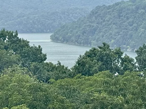 44 Harbor Ct, Silver Point, TN 38582 photo 15