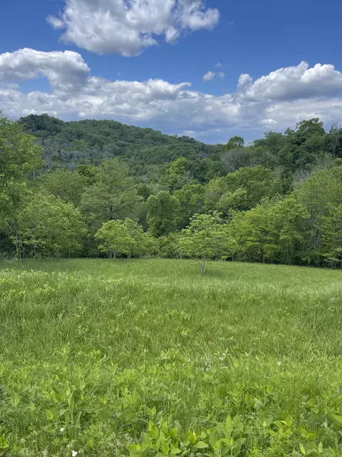 44 Harbor Ct, Silver Point, TN 38582 photo 13