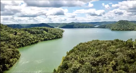 62 Harbor Pointe Dr, Silver Point, TN 38582