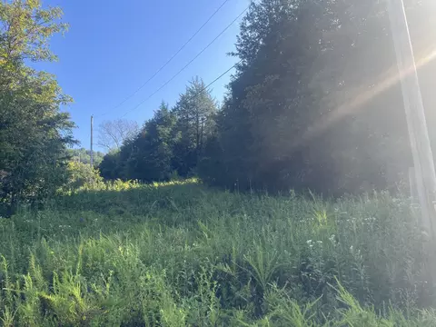 181 Green Hill Rd, Pleasant Shade, TN 37145