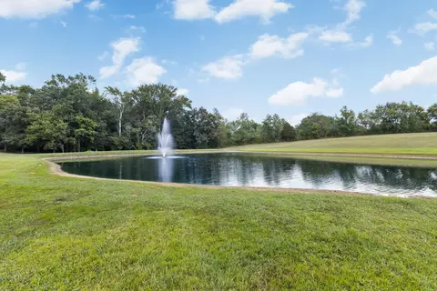 5651 Flewellyn Rd, Springfield, TN 37172 photo 48
