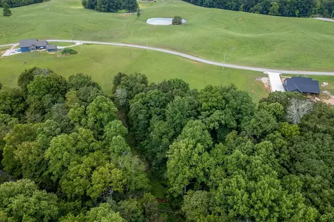 0 Dow Ln, Doyle, TN 38559 photo 16