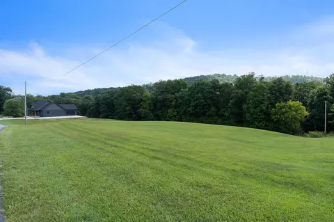 0 Dow Ln, Doyle, TN 38559 photo 3