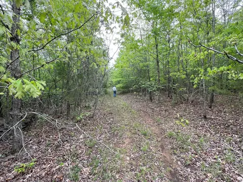 0 Hwy 57, Pocahontas, TN 38061