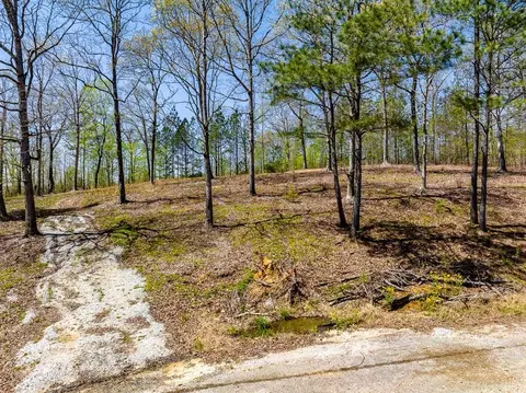 0 Peregrine Pl, Cedar Grove, TN 38321