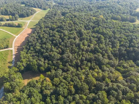 0 Murphy Holw, Vanleer, TN 37181 photo 4