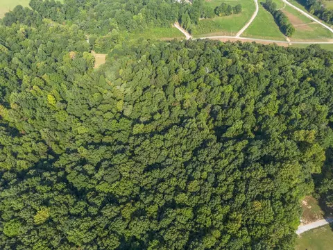 0 Murphy Holw, Vanleer, TN 37181 photo 5
