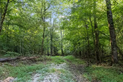 0 Murphy Holw, Vanleer, TN 37181 photo 7