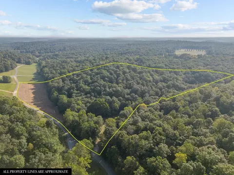 0 Murphy Holw, Vanleer, TN 37181 photo 12