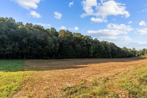 0 Murphy Holw, Vanleer, TN 37181 photo 9
