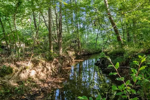 0 Murphy Holw, Vanleer, TN 37181 photo 8