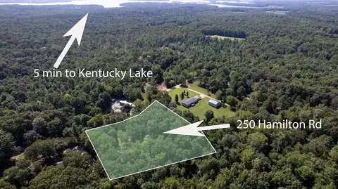 250 Hamilton Rd, Springville, TN 38256