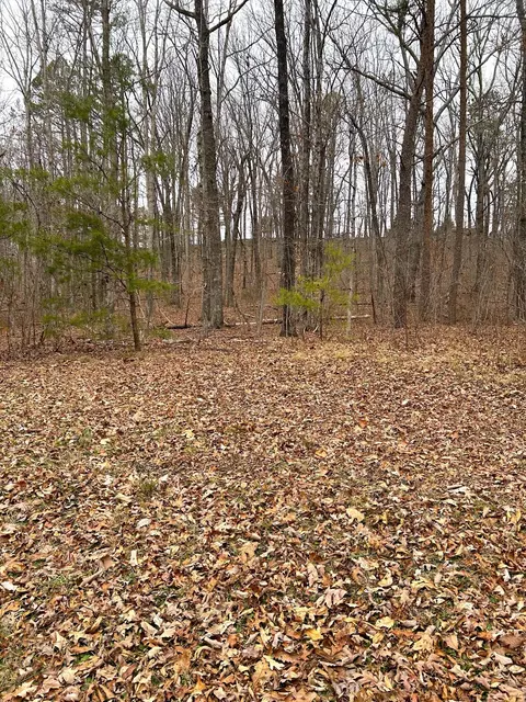 16415 Downey View Dr, Sale Creek, TN 37373