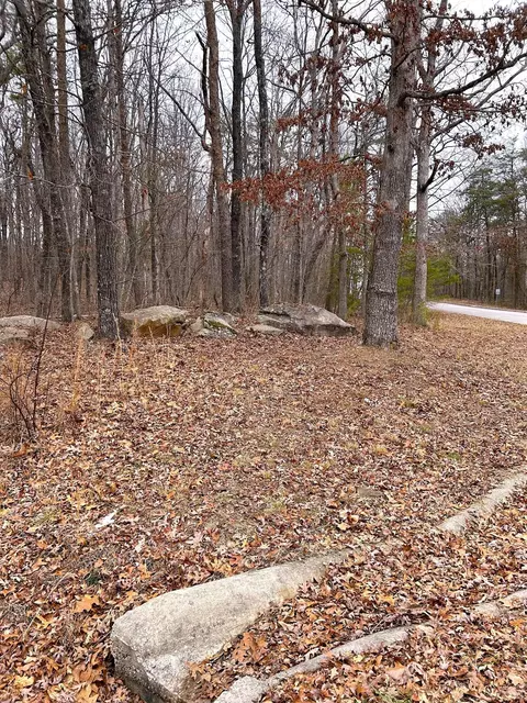 16341 Downey View Dr, Sale Creek, TN 37373