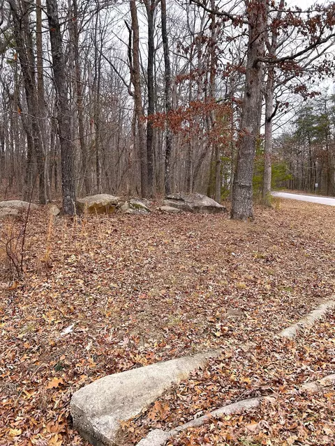 16341 Downey View Dr, Sale Creek, TN 37373