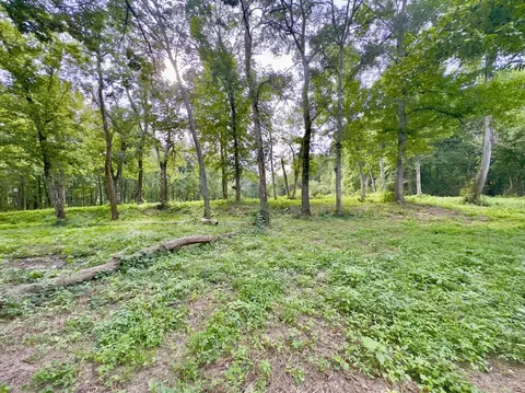 4 Shelbyville Rd, Morrison, TN 37357 photo 8