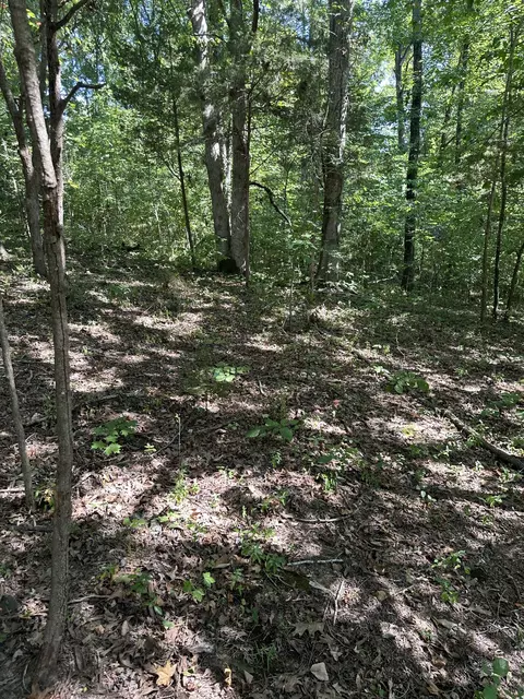 0 Lee Ln, Big Rock, TN 37023