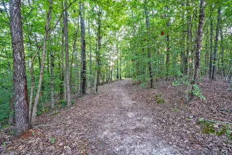 100 Deer Lick Trl, Dover, TN 37058