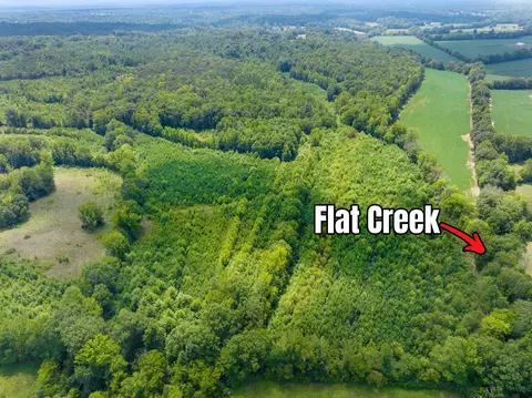 0 Mt Zion Rd, Decaturville, TN 38329