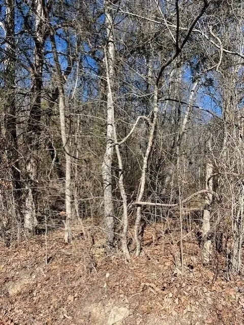 0 Banther Rd, Harrison, TN 37341