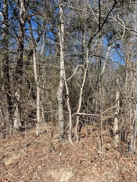 0 Banther Rd, Harrison, TN 37341