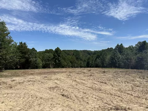 112 Truetts Pvt Trl, Cottontown, TN 37048