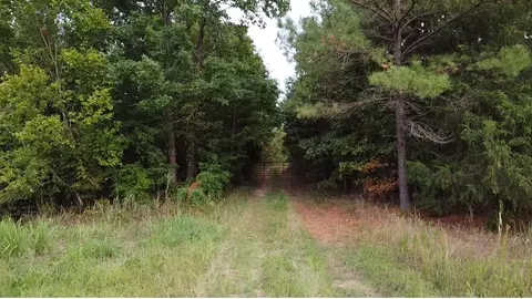 0 Rue Hammer Rd, Cedar Grove, TN 38321