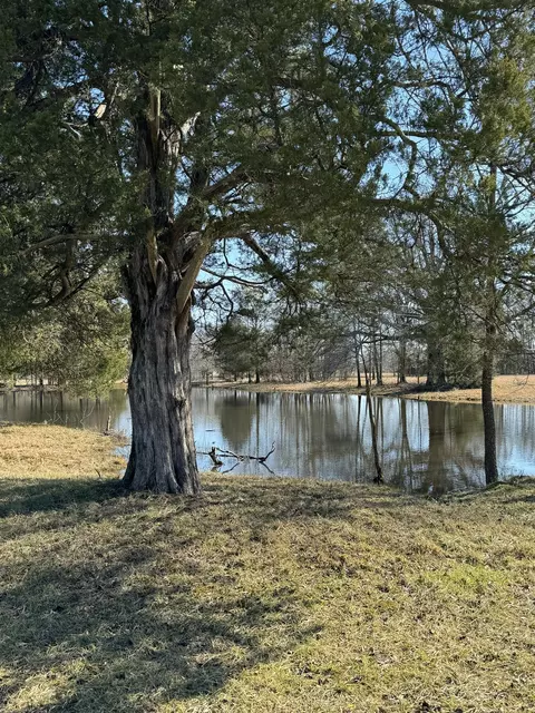View/Area - 900 Capps Rd, Mcewen, TN 37101 photo 5 of 15