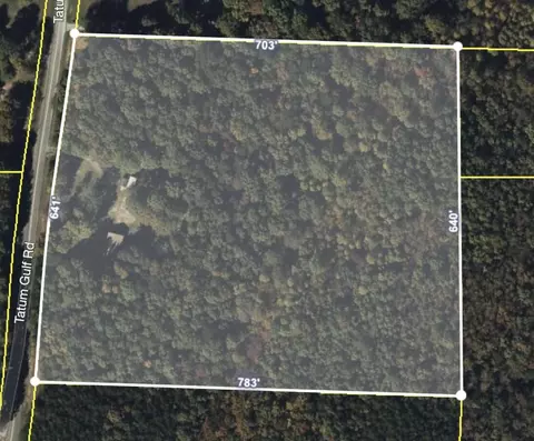 224 Tatum Gulf Rd, Menlo, GA 30731