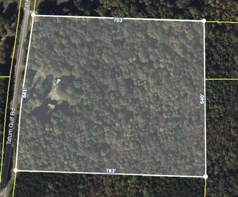 224 Tatum Gulf Rd, Menlo, GA 30731