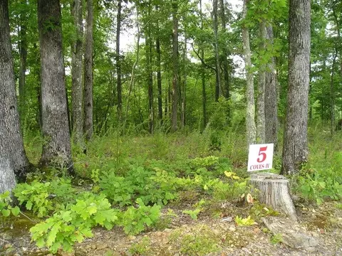 0 Cove Point Rd, Sparta, TN 38583