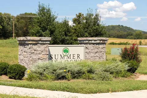 View/Area - 201 Star Pointer Way, Spring Hill, TN 37174 photo 1 of 1