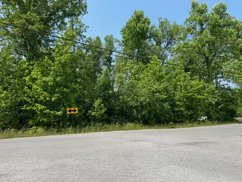 0 Ferrells Loop NE, Beechgrove, TN 37018 photo 4