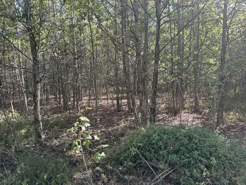 0 Ferrells Loop NE, Beechgrove, TN 37018 photo 7