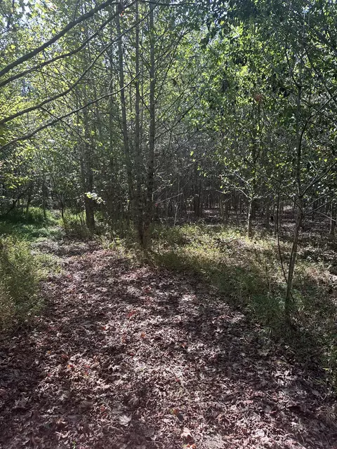 0 Ferrells Loop NE, Beechgrove, TN 37018 photo 6