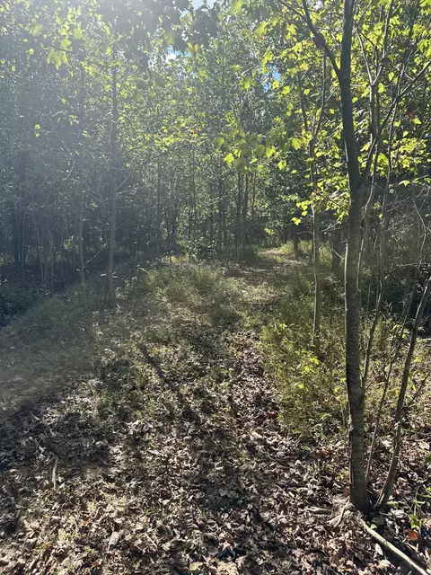 0 Ferrells Loop NE, Beechgrove, TN 37018 photo 8