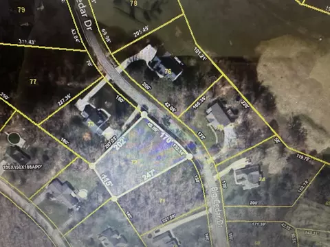 0 Big Cedar Dr, Dunlap, TN 37327 photo 4