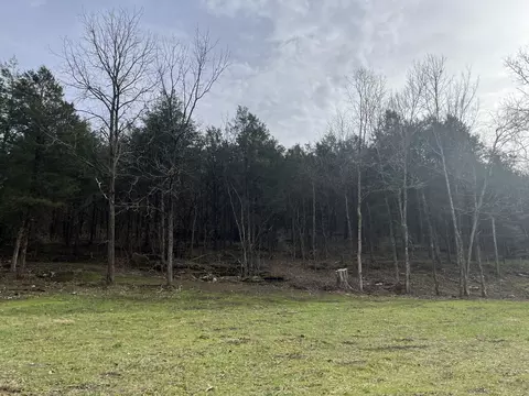 0 Stonewall Hwy, Carthage, TN 37030