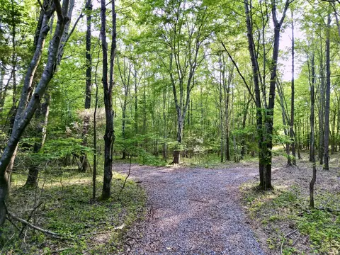 2956 Morgan Rd, Joelton, TN 37080