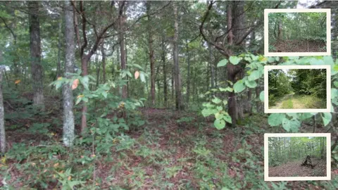 5 Ac Backwoods Trl, Celina, TN 38551