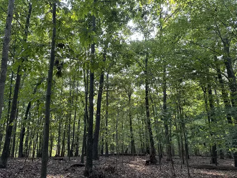 0 Red Oak Trl, Murfreesboro, TN 37130