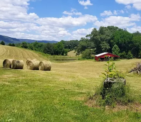 0 John Burch Rd, Dunlap, TN 37327 photo 4