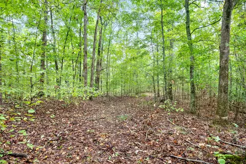 1 Chapel Rd, Dover, TN 37058 photo 4