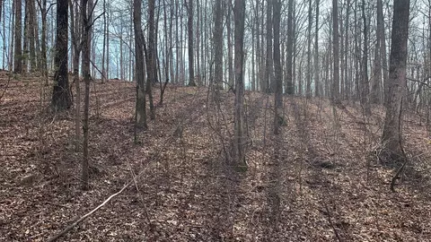 1385 Ridgewood Dr, Mcewen, TN 37101